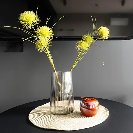 Wiktoryn 233 Superapart - Z Klimatyzacja * 바르샤바